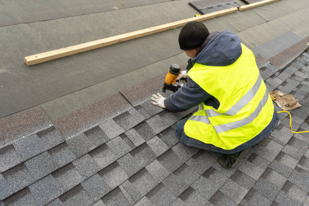 Roof Gutter Cleaning in Crown Point, IN