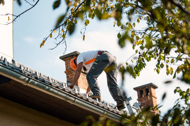 Best Roof Gutter Cleaning  in Crown Pot, IN