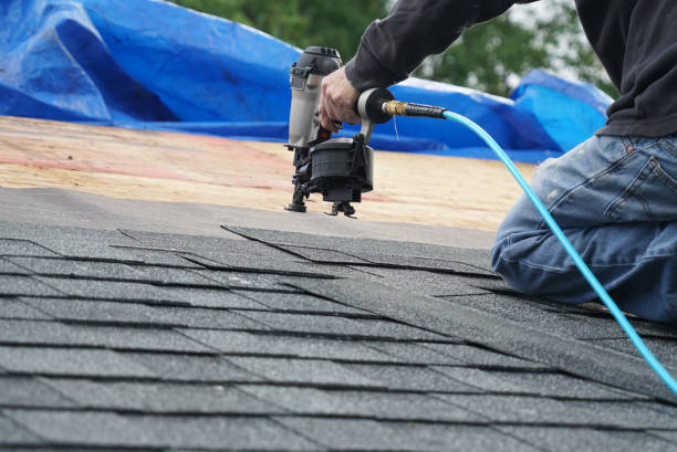 Professional Roofing Contractor in Crown Point, IN